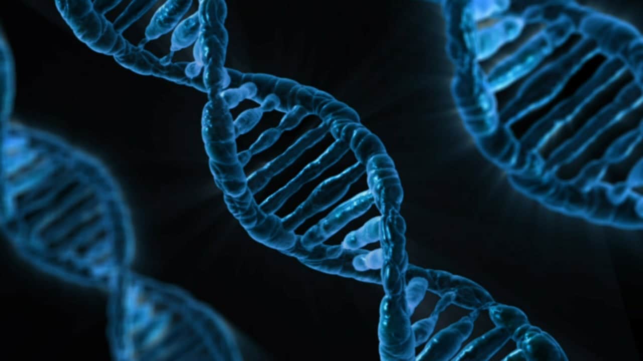 5 DNA Tests Tips Header Image