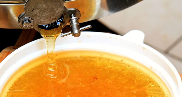 Manuka Honey Online Article Image