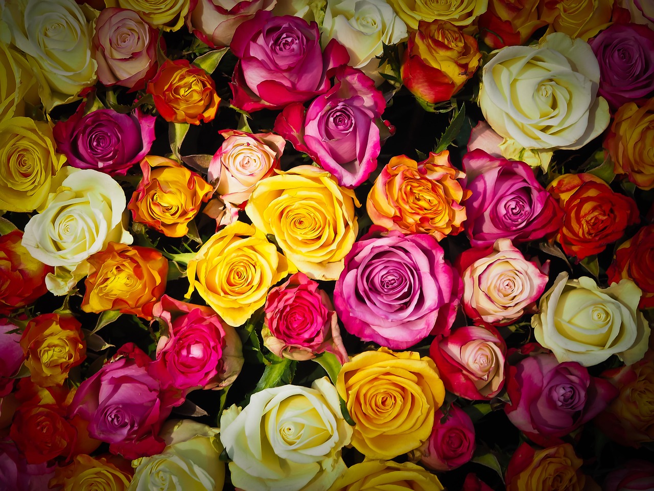 International Online Florist Header Image
