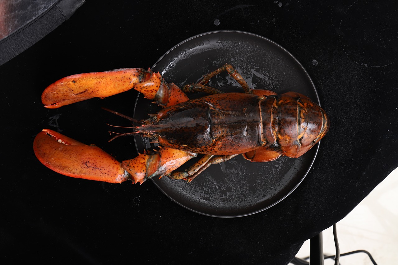 About Lobster Season Article Image