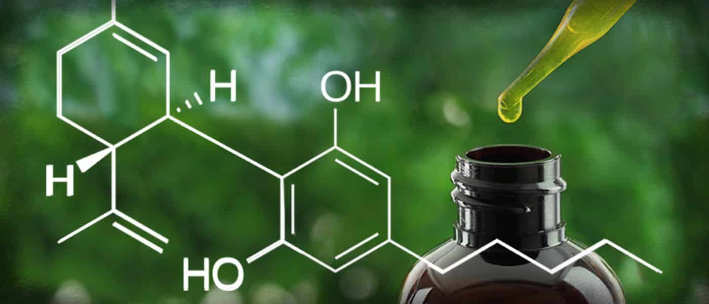 CBD Healthy Facts Header Image