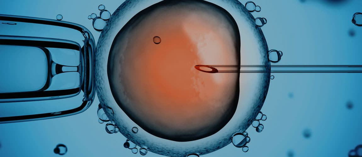 Reproductive Technology Rate Header Image