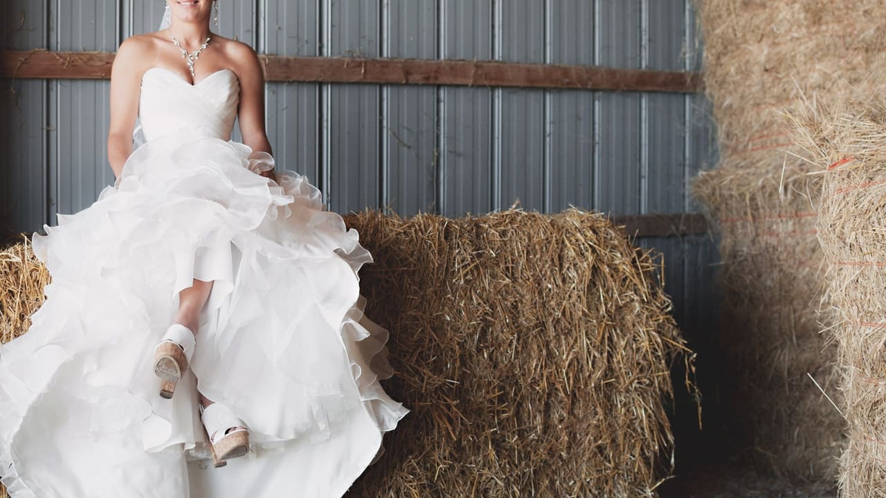 Barn Wedding Tips Article Image