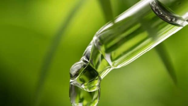 CBD Oil Big Business Header Image