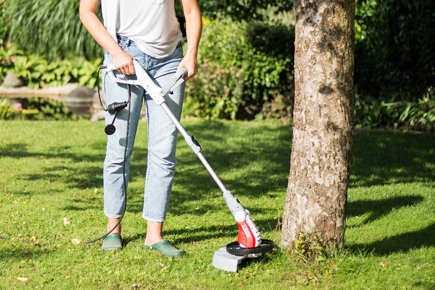 Top Garden Tools 2019 Article Image