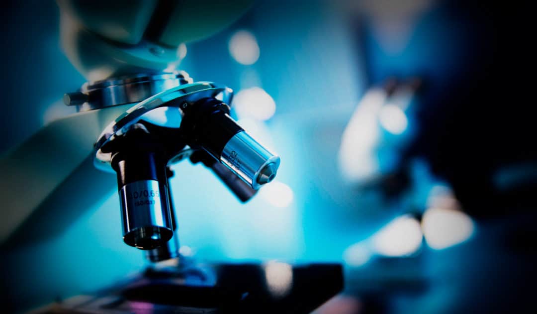 Antibody Research Development Header Image